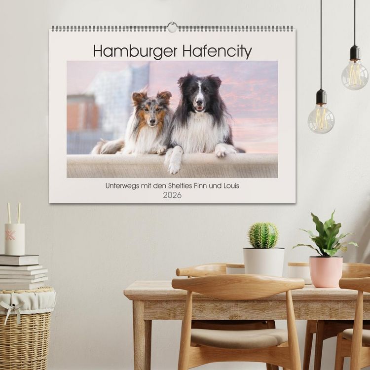 Produktbild: Hamburger Hafencity - Unterwegs mit den Shelties Finn und Louis (Wandkalender 2026 DIN A2 quer), CALVENDO Monatskalender