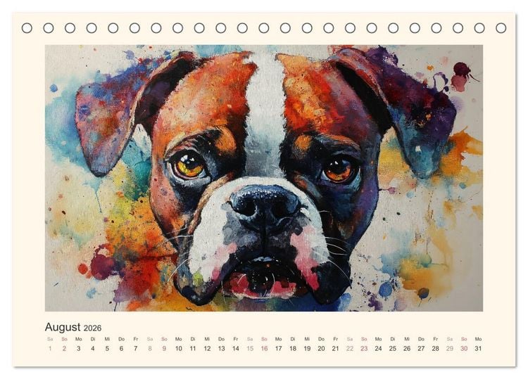 Produktbild: Bunte Boxer (Tischkalender 2026 DIN A5 quer), CALVENDO Monatskalender