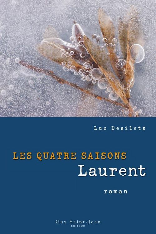 Produktbild: Les quatre saisons, tome 2