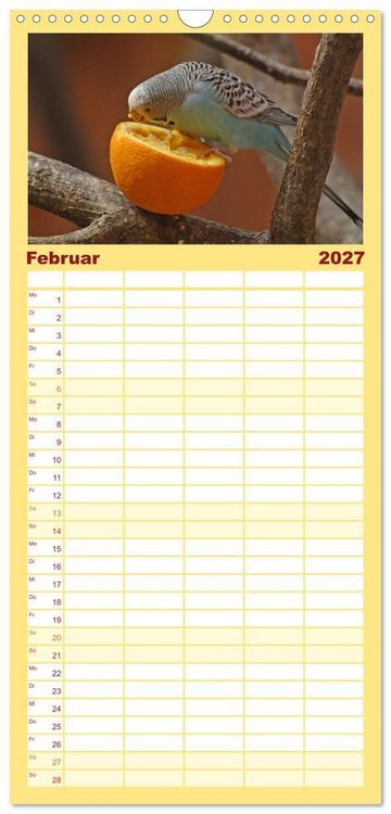 Produktbild: Familienplaner 2027 - Wellensittiche - Gefiederte Freunde mit 5 Spalten (Wandkalender, 21 x 45 cm) CALVENDO