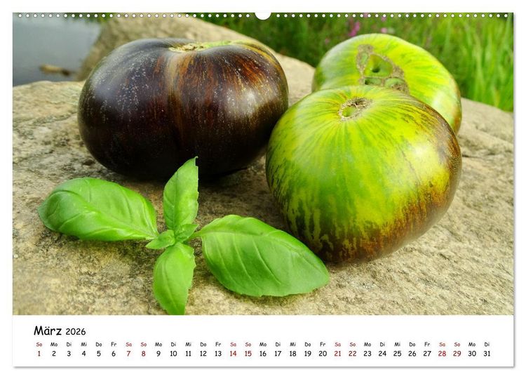 Produktbild: Tomaten Satt (hochwertiger Premium Wandkalender 2026 DIN A2 quer), Kunstdruck in Hochglanz