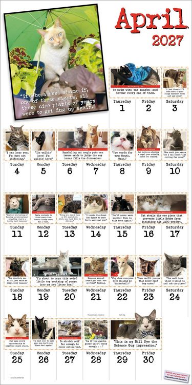 Produktbild: Bad Cat Wall Calendar 2027