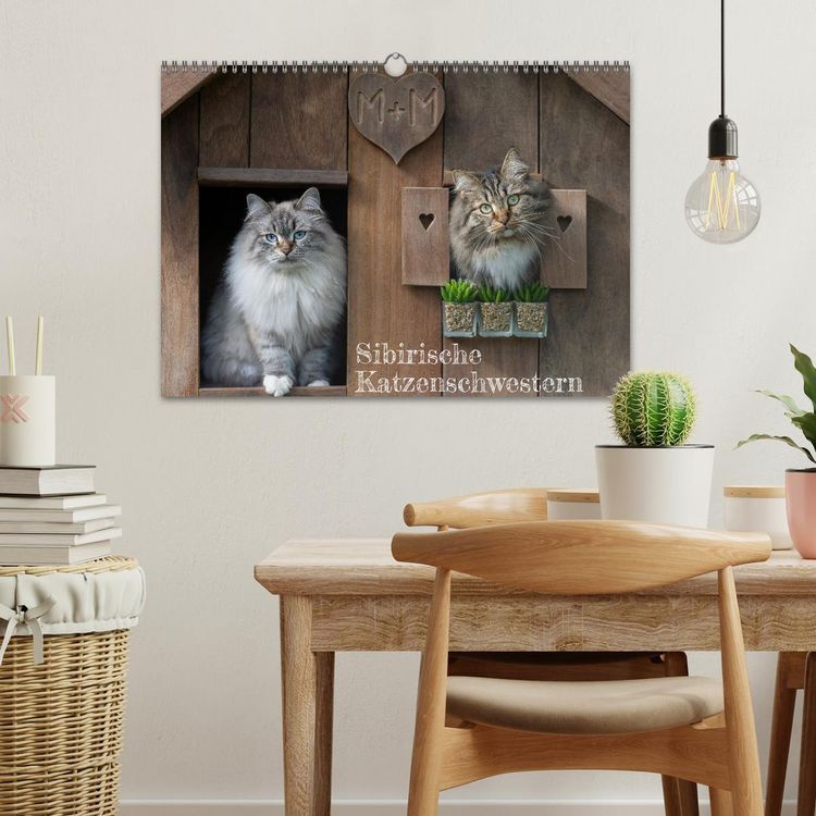Produktbild: Maui und Molokai - Sibirische Katzenschwestern (Wandkalender 2026 DIN A3 quer), CALVENDO Monatskalender