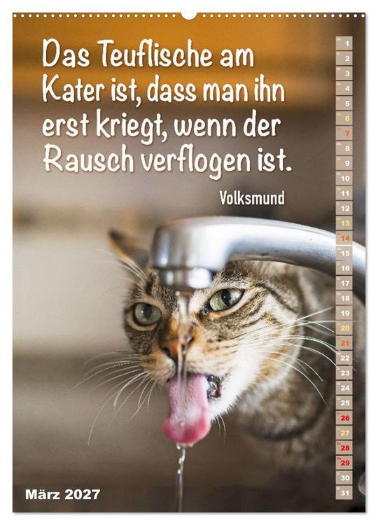 Produktbild: Der literarische Katerkalender (hochwertiger Premium Wandkalender 2027 DIN A2 hoch), Kunstdruck in Hochglanz