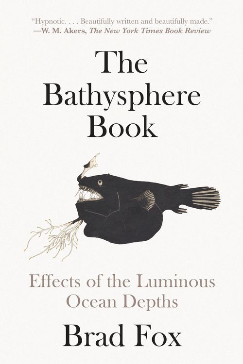 Produktbild: The Bathysphere Book