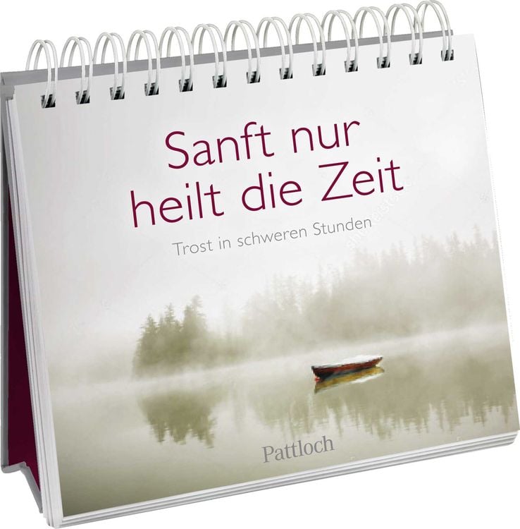 Bild vom Artikel Sanft nur heilt die Zeit vom Autor Pattloch Verlag