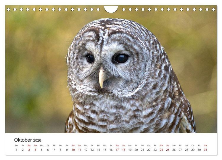 Produktbild: British Columbia - Faszination Kanada (Wandkalender 2026 DIN A4 quer), CALVENDO Monatskalender