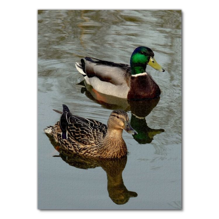 Produktbild: Lais Puzzle Ente 1000 Teile