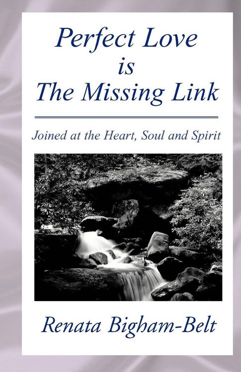 Produktbild: Perfect Love is the Missing Link