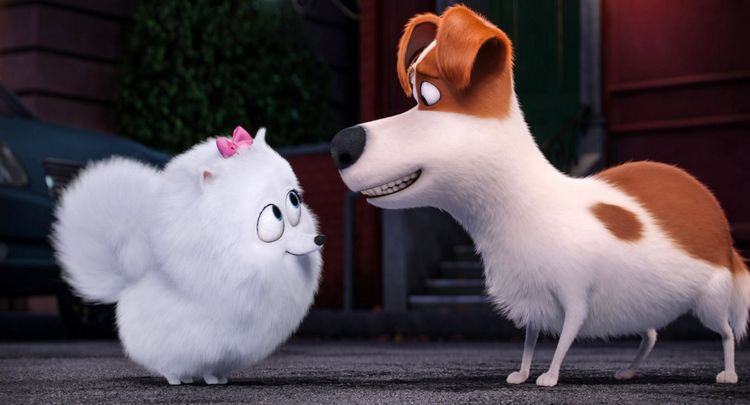 Produktbild: Pets (Illumination)