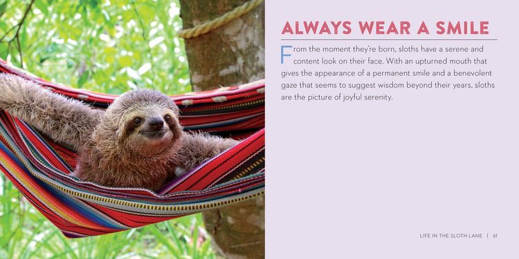 Produktbild: Life in the Sloth Lane