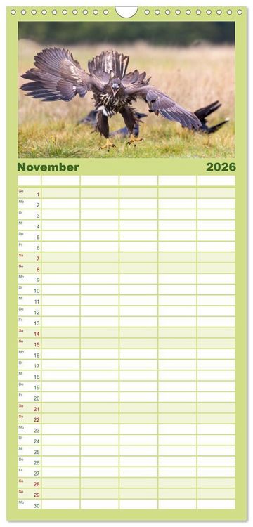 Produktbild: Familienplaner 2026 - Seeadler in Polen mit 5 Spalten (Wandkalender, 21 x 45 cm) CALVENDO