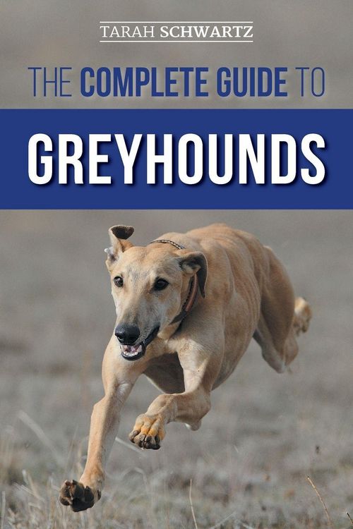 Produktbild: The Complete Guide to Greyhounds