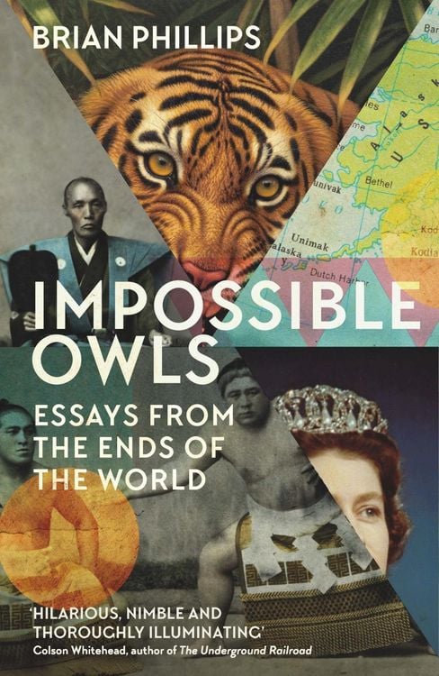 Produktbild: Impossible Owls