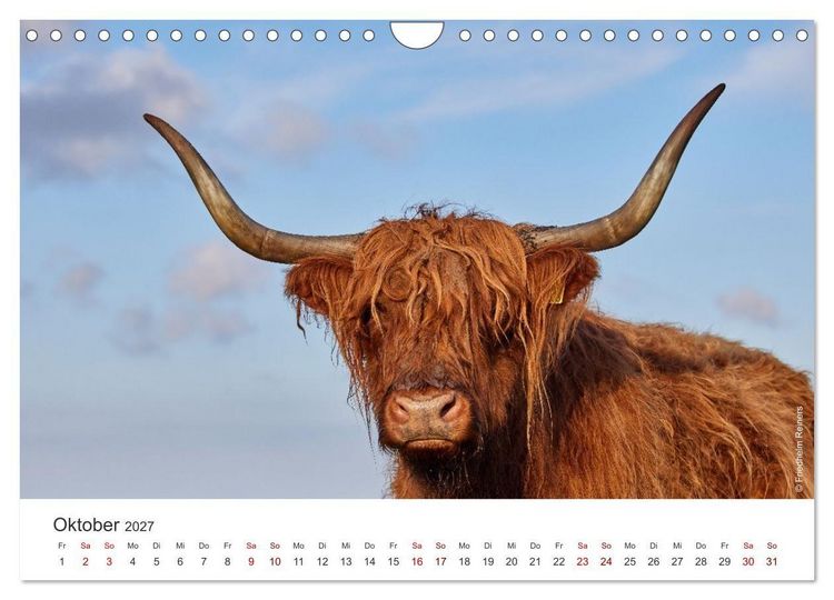 Produktbild: Halbinsel Eiderstedt - Momente der Natur (Wandkalender 2027 DIN A4 quer), CALVENDO Monatskalender