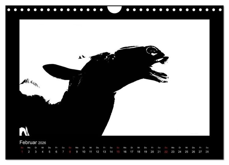 Produktbild: Ruhrpott und Niederrhein in Schwarzwei&szlig; (Wandkalender 2026 DIN A4 quer), CALVENDO Monatskalender