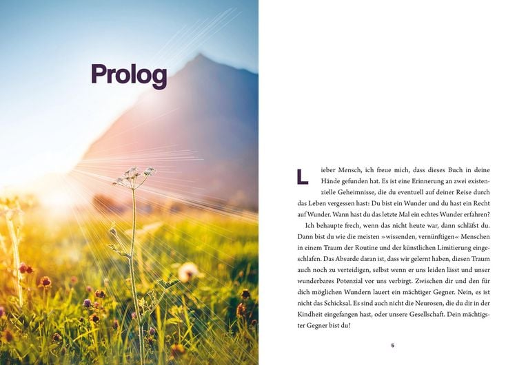 Produktbild: Wunderwerk
