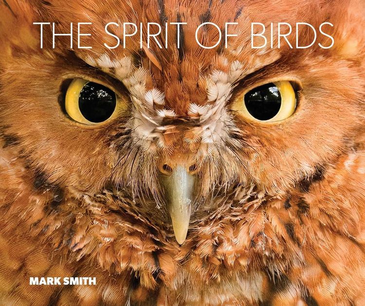 Produktbild: The Spirit of Birds