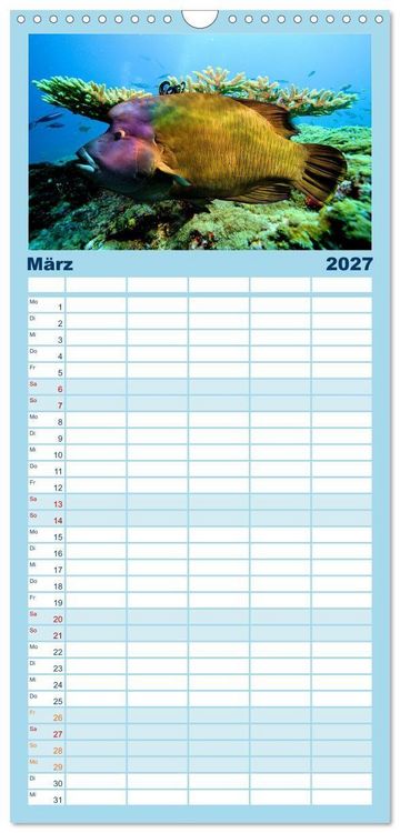 Produktbild: Familienplaner 2027 - Abenteuer Riff - bunte Unterwasserwelt mit 5 Spalten (Wandkalender, 21 x 45 cm) CALVENDO
