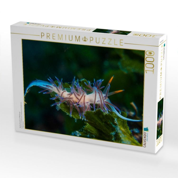 Produktbild: CALVENDO Puzzle Nacktschnecke im Mittelmeer | 1000 Teile Lege-Gr&ouml;&szlig;e 64x48cm Foto-Puzzle f&uuml;r gl&uuml;ckliche Stunden