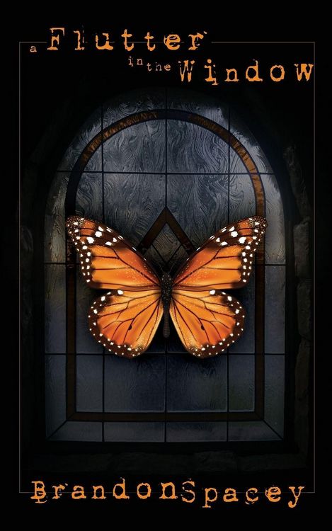 Produktbild: A Flutter in the Window