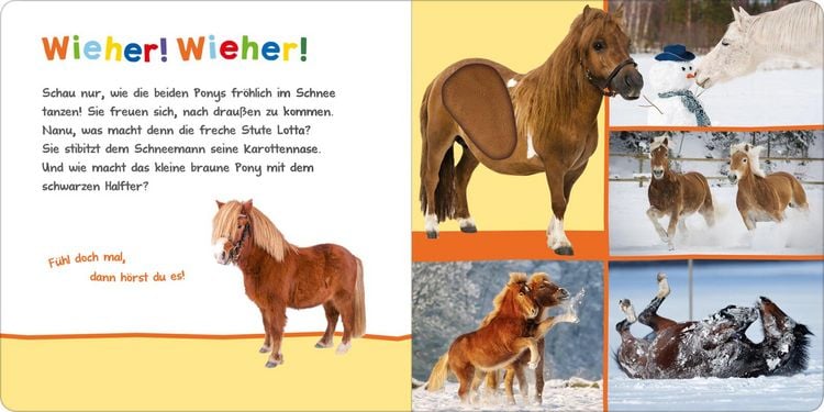 Produktbild: H&ouml;r mal rein, wer kann das sein? &ndash; Kleine Tiere im Schnee
