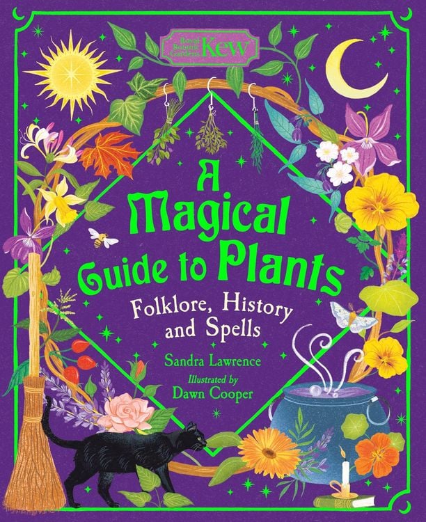 Produktbild: A Magical Guide to Plants