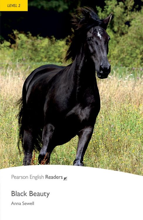 Produktbild: Level 2: Black Beauty