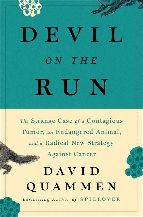 Produktbild: Devil on the Run