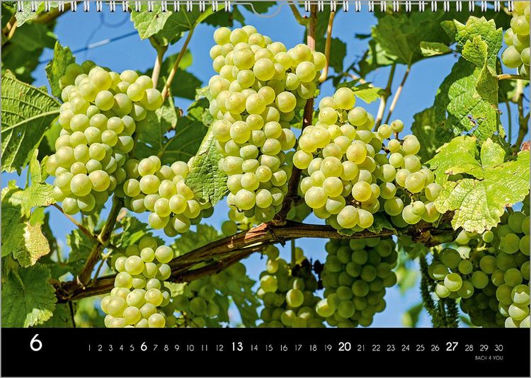 Produktbild: Der Weinkalender 2027, DIN A3 &ndash; ein Fotokalender