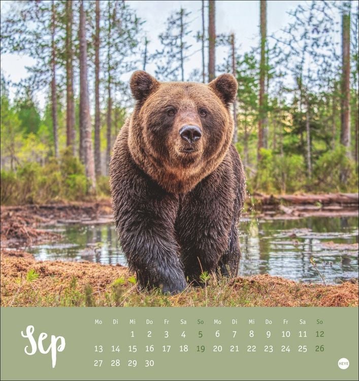 Produktbild: B&auml;renstark Postkartenkalender 2027