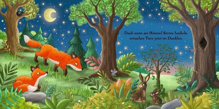 Produktbild: Es wird Nacht hier im Wald