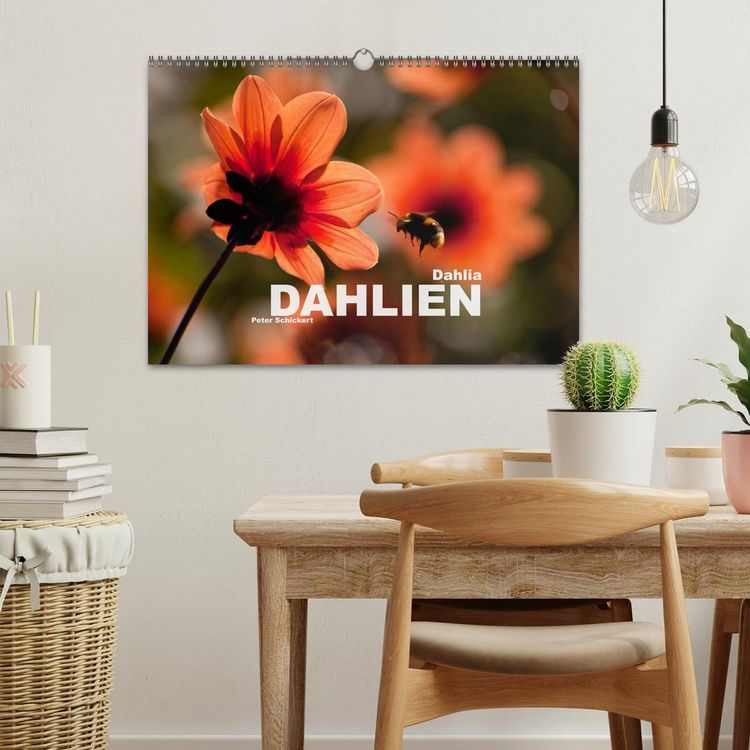 Produktbild: Dahlia - Dahlien (Wandkalender 2026 DIN A3 quer), CALVENDO Monatskalender