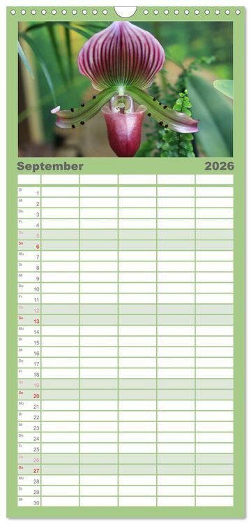 Produktbild: Familienplaner 2026 - Pr&auml;chtige Orchideen mit 5 Spalten (Wandkalender, 21 x 45 cm) CALVENDO