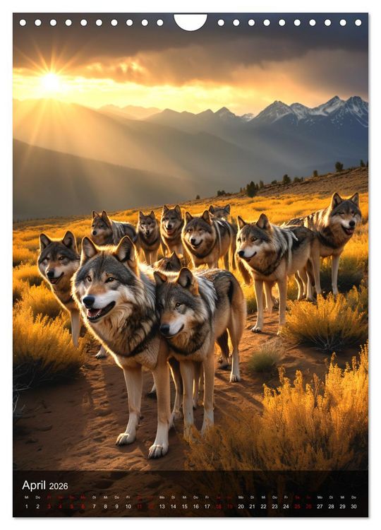 Produktbild: Der Wolf - Sehnsucht Freiheit Kraft (Wandkalender 2026 DIN A4 hoch), CALVENDO Monatskalender