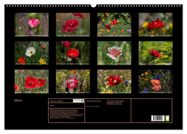 Produktbild: Mohn (Wandkalender 2026 DIN A2 quer), CALVENDO Monatskalender