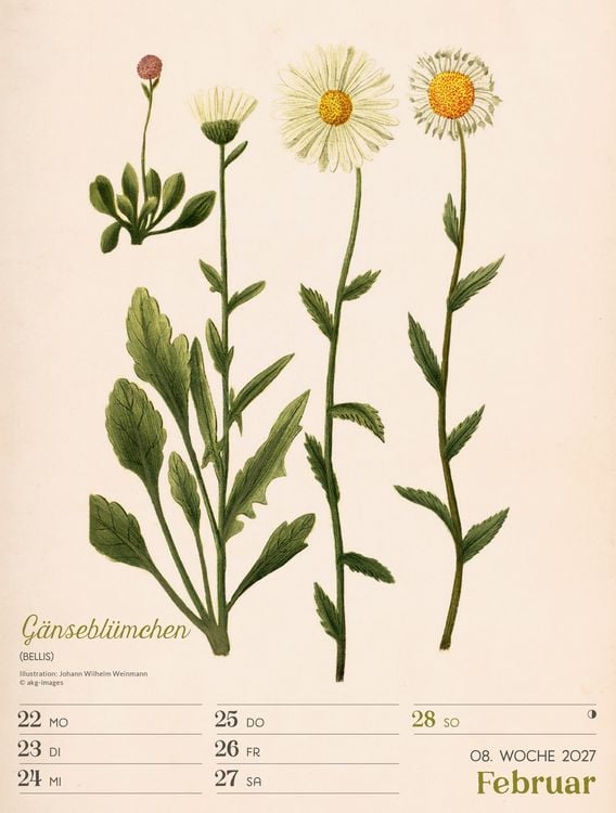 Produktbild: Ars Floralis Wochenplaner Kalender 2027