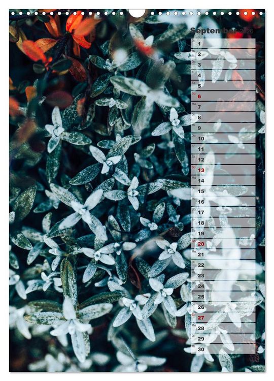 Produktbild: Kalender - Natur im Detail (Wandkalender 2026 DIN A3 hoch), CALVENDO Monatskalender