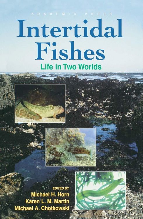 Produktbild: Intertidal Fishes
