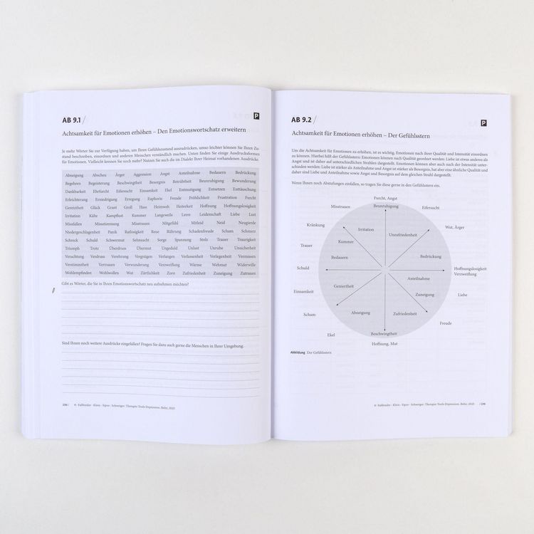 Produktbild: Therapie-Tools Depression