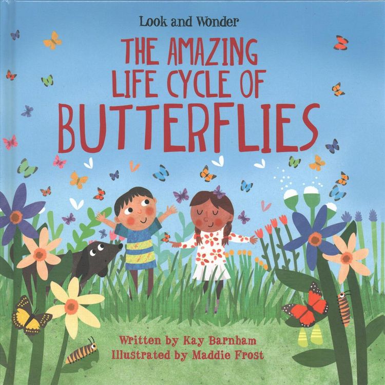 Produktbild: The Amazing Life Cycle of Butterflies