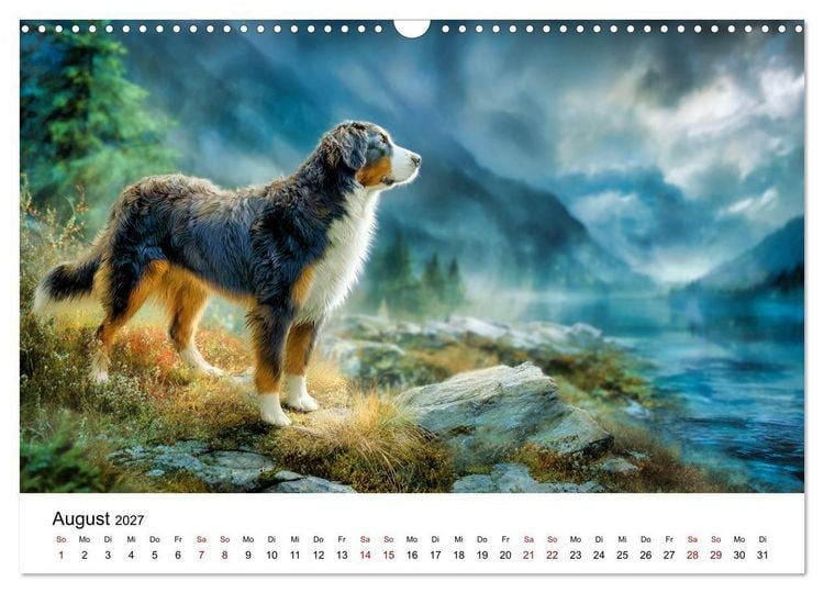 Produktbild: Stolz und Sanftmut - Berner Sennenhunde (Wandkalender 2027 DIN A3 quer), CALVENDO Monatskalender