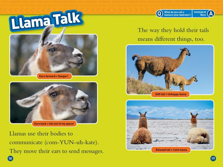 Produktbild: Llamas (National Geographic Kids Readers, Level 1)