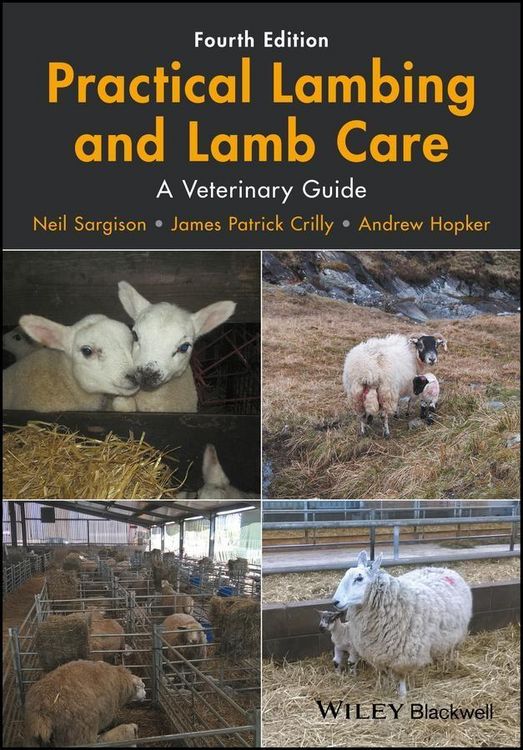 Produktbild: Practical Lambing and Lamb Care