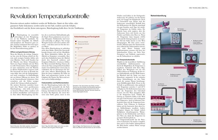 Produktbild: Wein &ndash; Die gro&szlig;e Schule