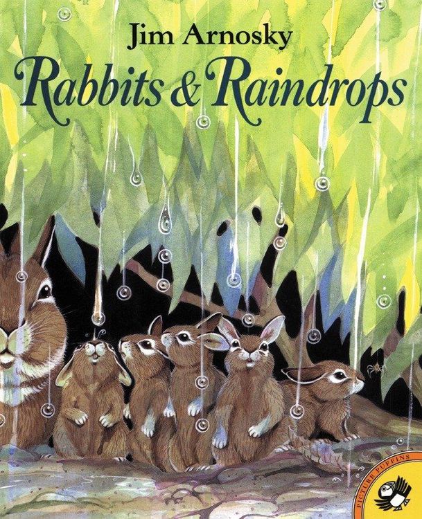 Produktbild: Rabbits and Raindrops