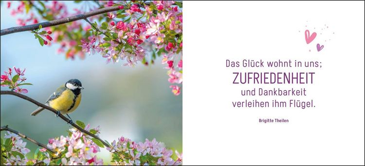 Produktbild: Ein kleines Dankesch&ouml;n