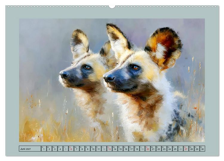 Produktbild: Wildhunde. Afrikas erfolgreiche J&auml;ger (Wandkalender 2027 DIN A2 quer), CALVENDO Monatskalender