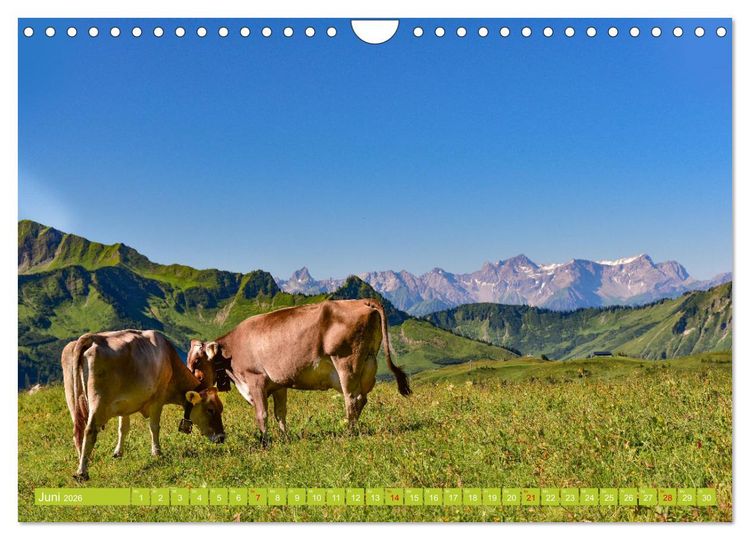 Produktbild: Ein Sommertag in Dam&uuml;ls (Wandkalender 2026 DIN A4 quer), CALVENDO Monatskalender