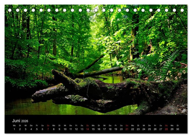 Produktbild: Wasserwandern in Mecklenburg-Vorpommern (Tischkalender 2026 DIN A5 quer), CALVENDO Monatskalender